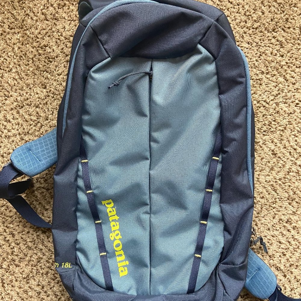 Patagonia Atom 18L Backpack